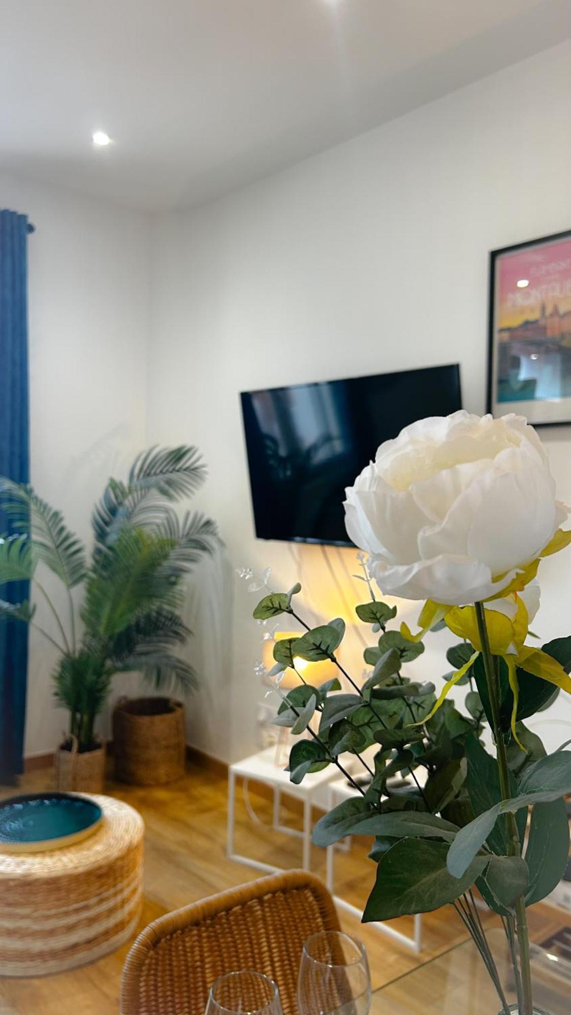 Voyage Au Canal - Parking Clim Netflix Amazon 蒙托邦 外观 照片